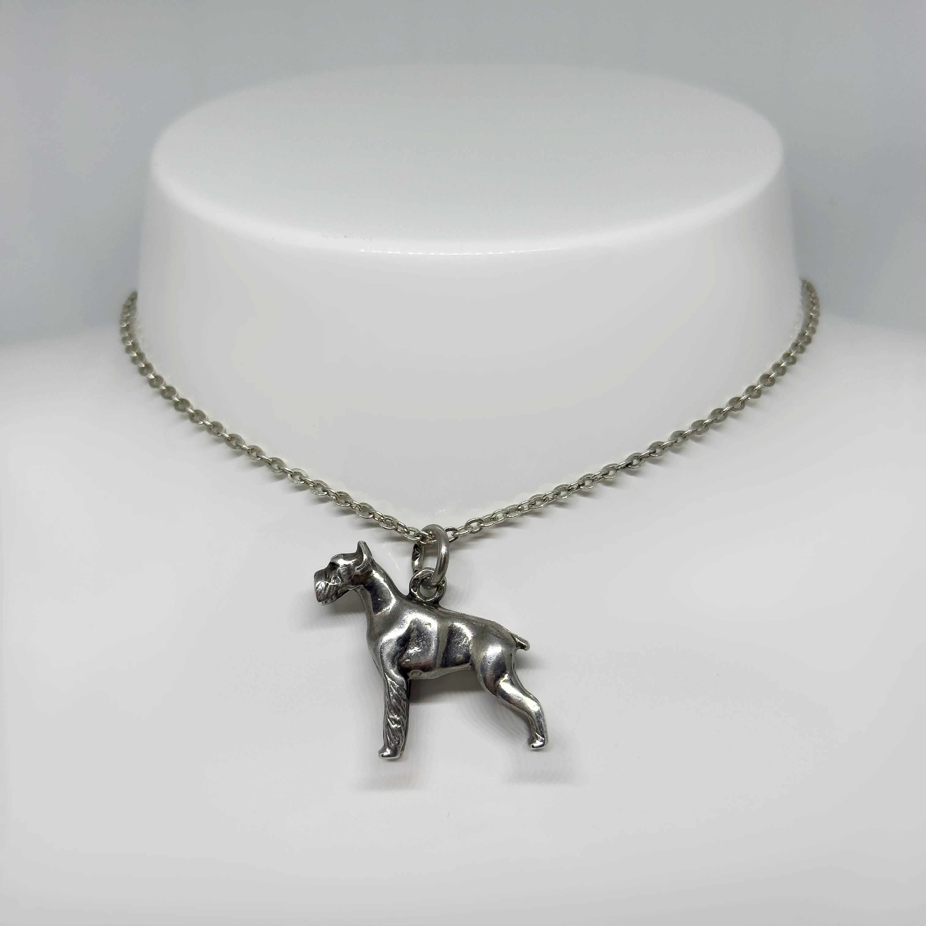 Hopeinen Suursnautseri riipus