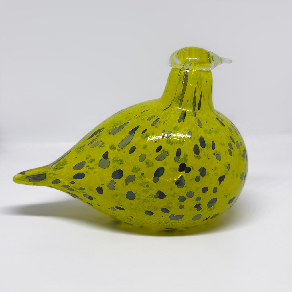 Oiva Toikka Stockmann lintu