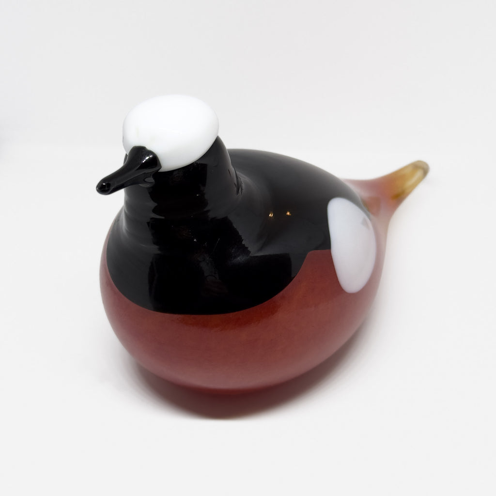 Oiva Toikka Vuorileppälintu