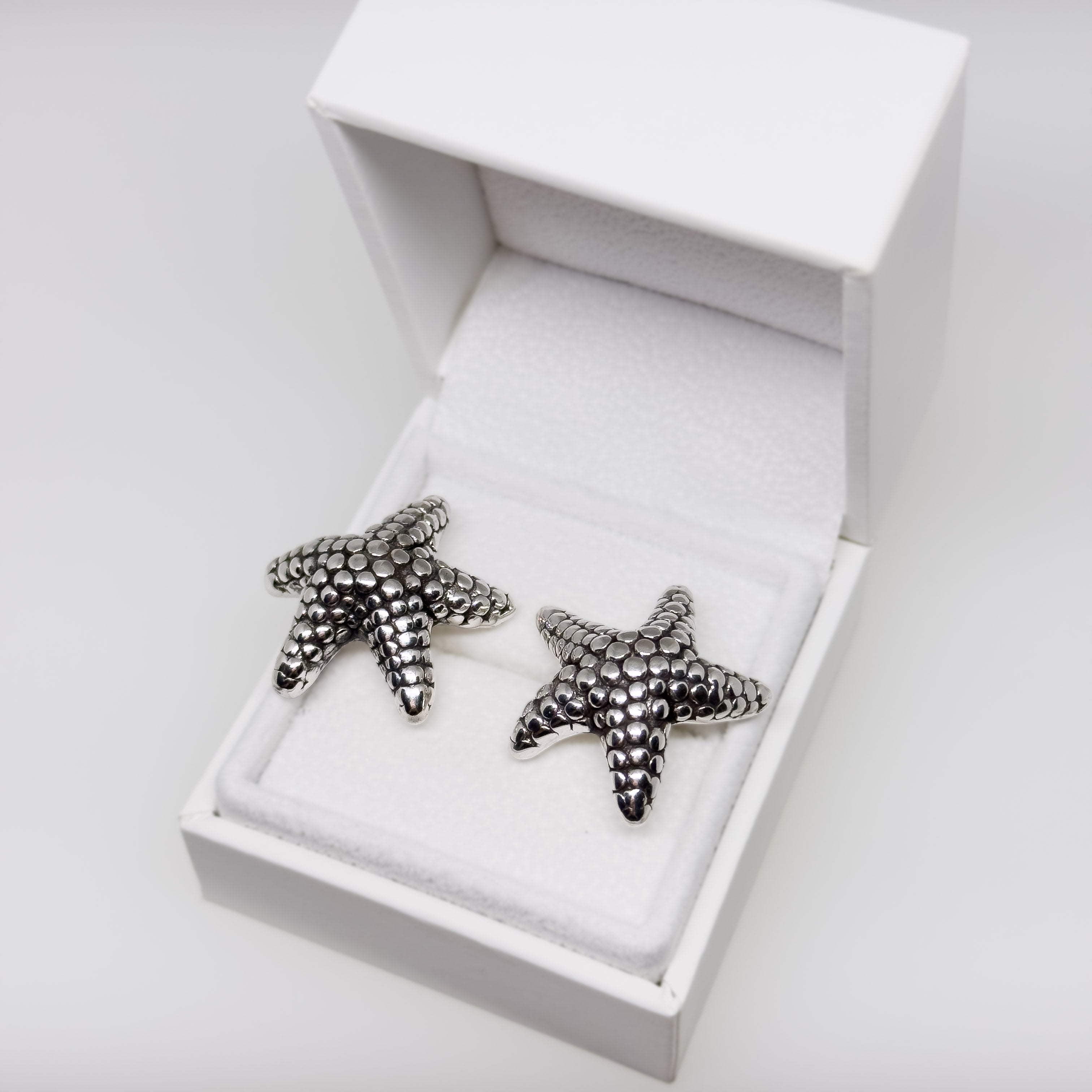 Hopeiset Meritähti korvakorut